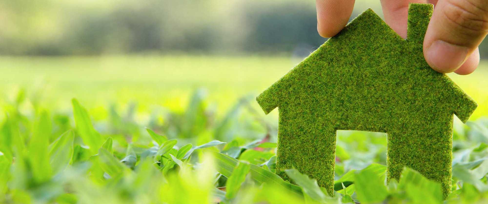 6 способов сделать дом более экологичным | brodude.ru