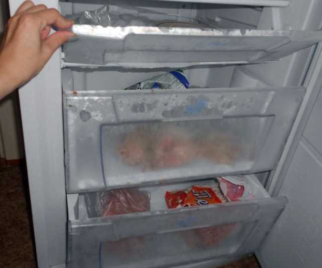 Не морозит холодильник: верхняя холодильная камера, а морозилка работает нормально, почему, в чем причина поломки, перестал, охлаждает (холодит), что делать, плохо, но свет есть, может быть, если гудит, способы устранения, сам включается, хорошо, часть