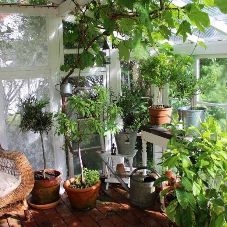 Как обустроить зимний сад в квартире: рациональное использование пространства