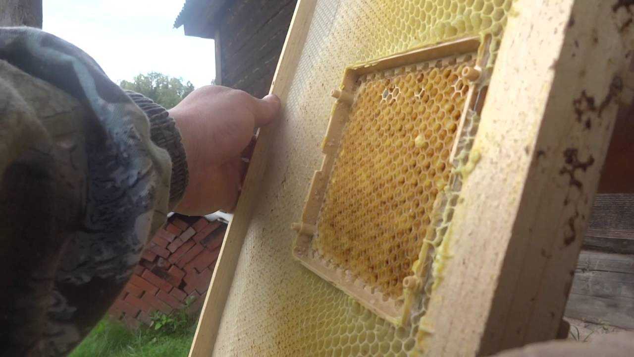 Геометрия пчелиных сот