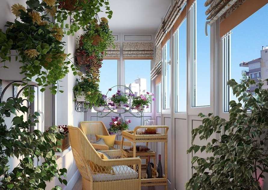 Как сохранить растения на балконе зимой