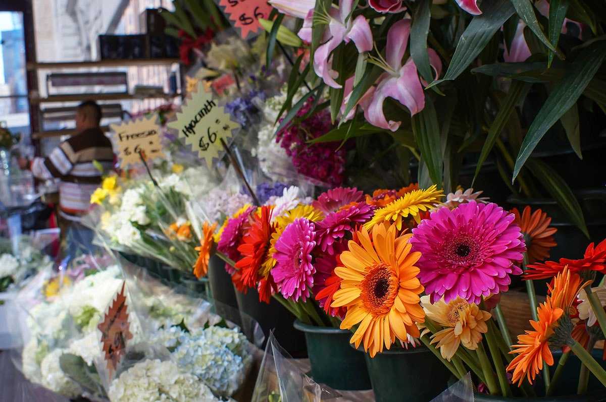 Бизнес план магазина цветов как открыть с нуля