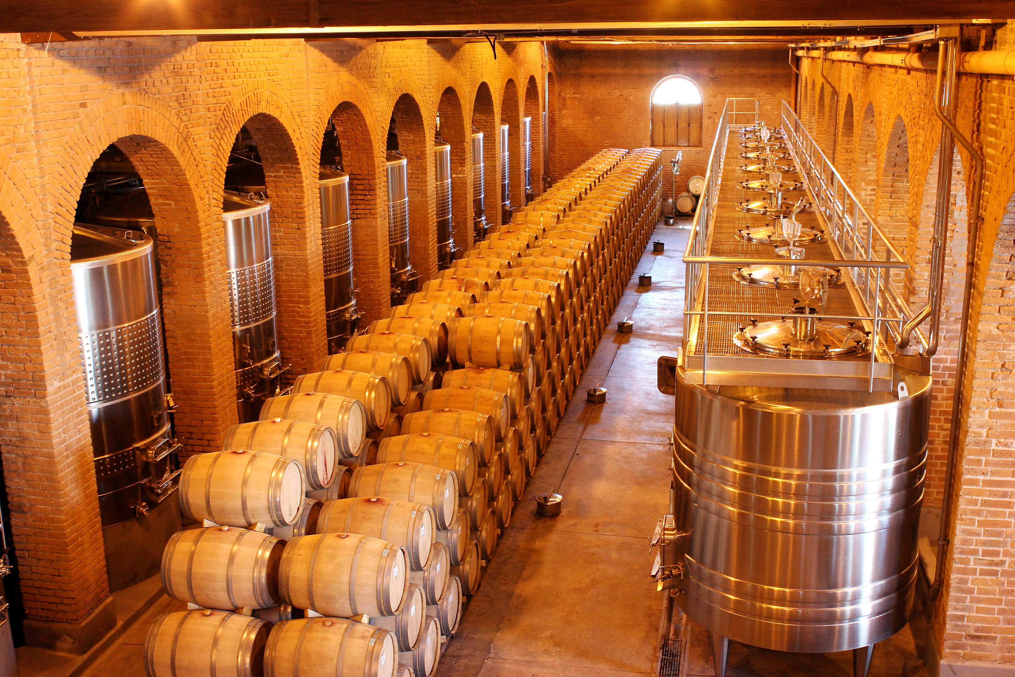 Производство вина: особенности технологического процесса и оборудование