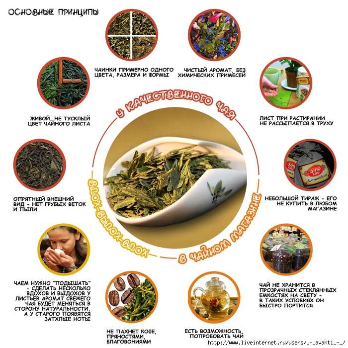 Советы по выбору натурального чая и рецепты