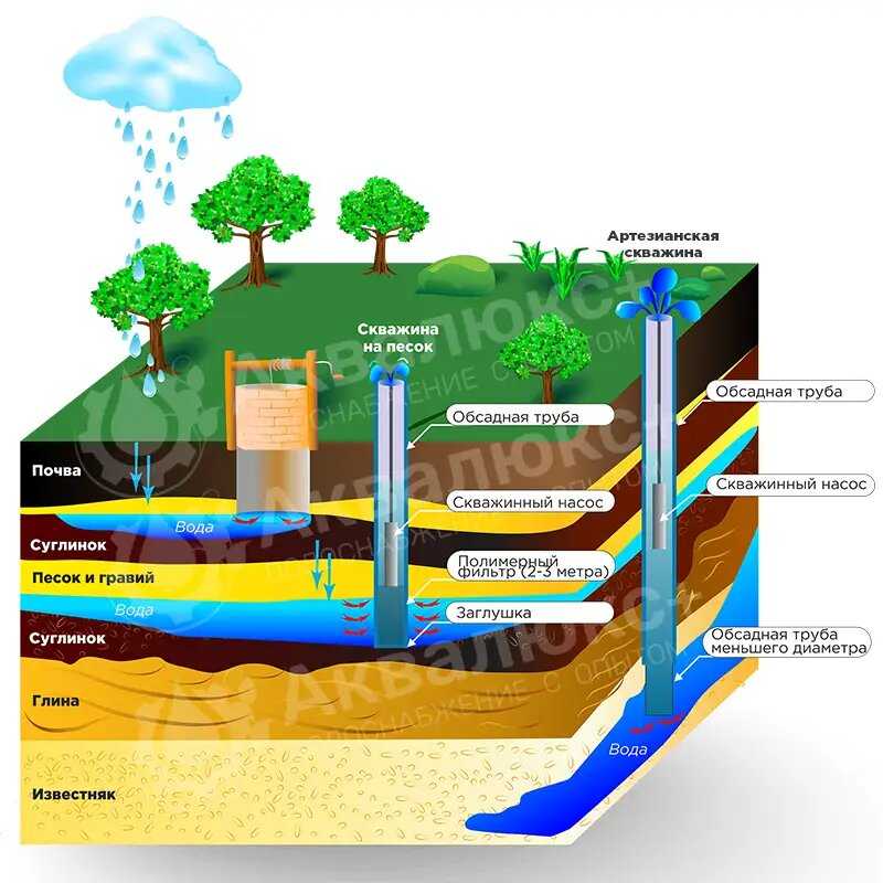 Уровень грунтовых вод: что это, на что влияет глубина водоносных горизонтов, от чего зависит подъем подземных вод на участке?