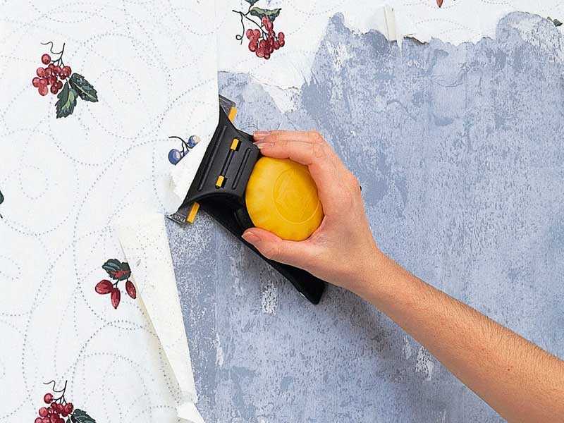 Как снять виниловые обои со стены легко и быстро: на бумажной, флизелиновой основе