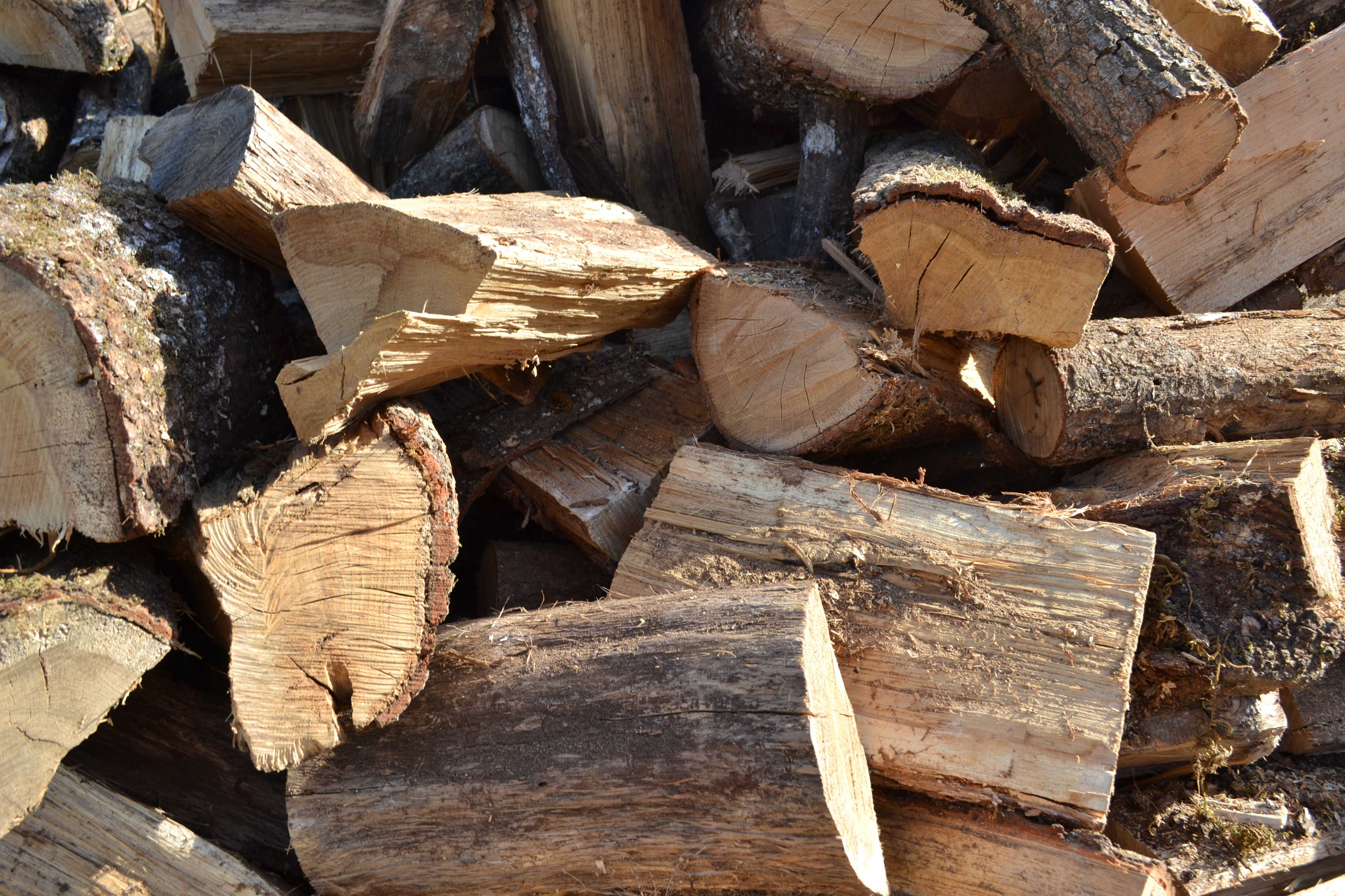 Все дрова для прогрева бани на две большие категории: хвойные и лиственные. У каждой из них свои преимущества и особенности.