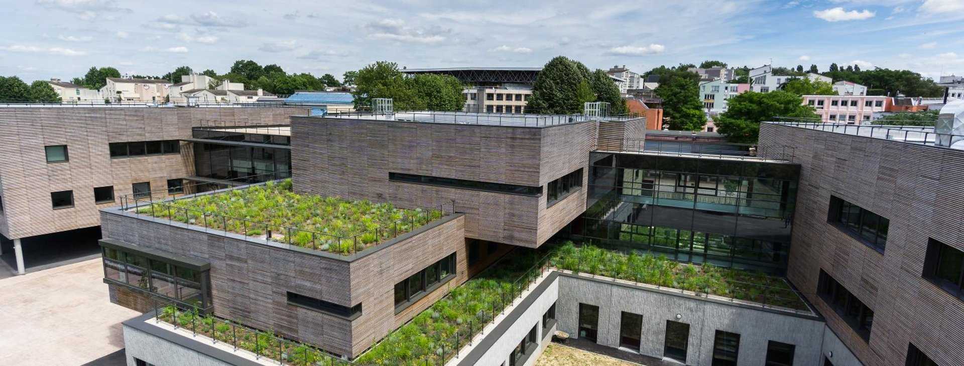 Озеленение крыш домов, зданий – технологии и особенности