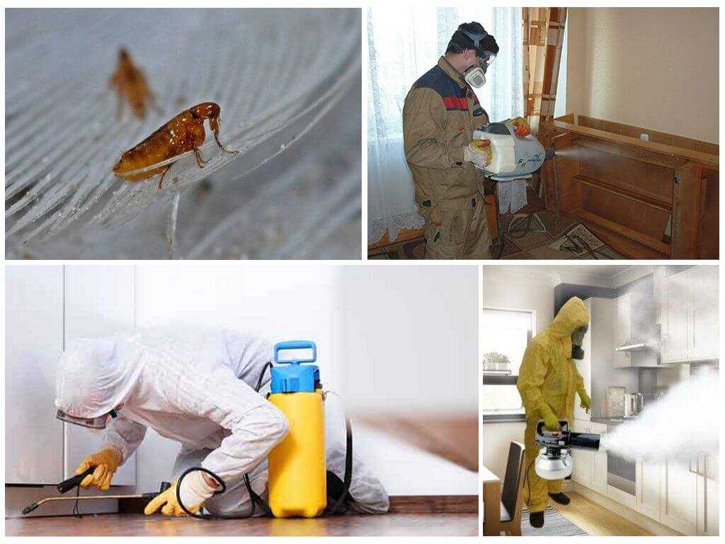 Средства от насекомых в квартире