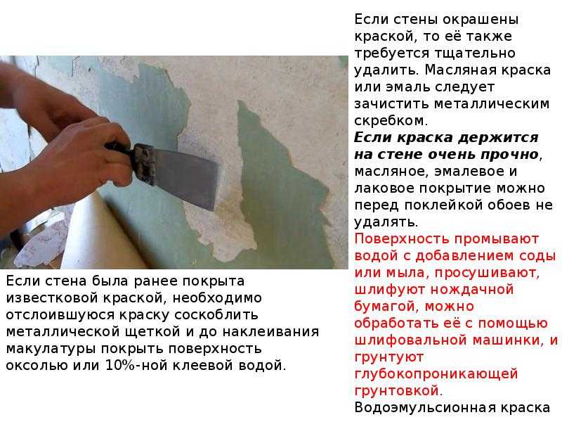 Инструкция как покрасить стены своими руками – пошаговая инструкция, правила и технология окраски для начинающих