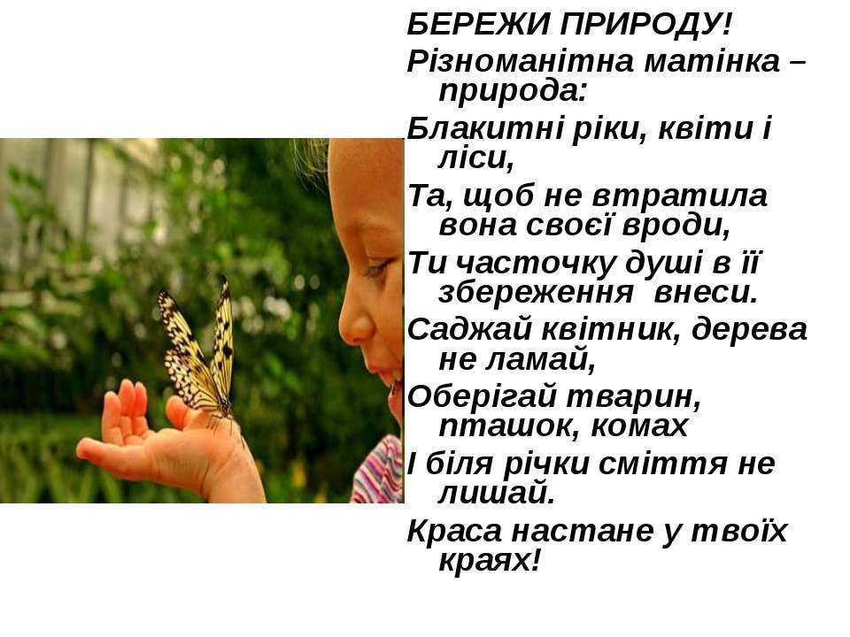 Перевірений лайфхак: виявляється, аспірин допоможе надовго зберегти букет квітів свіжим - vsyachyna.com