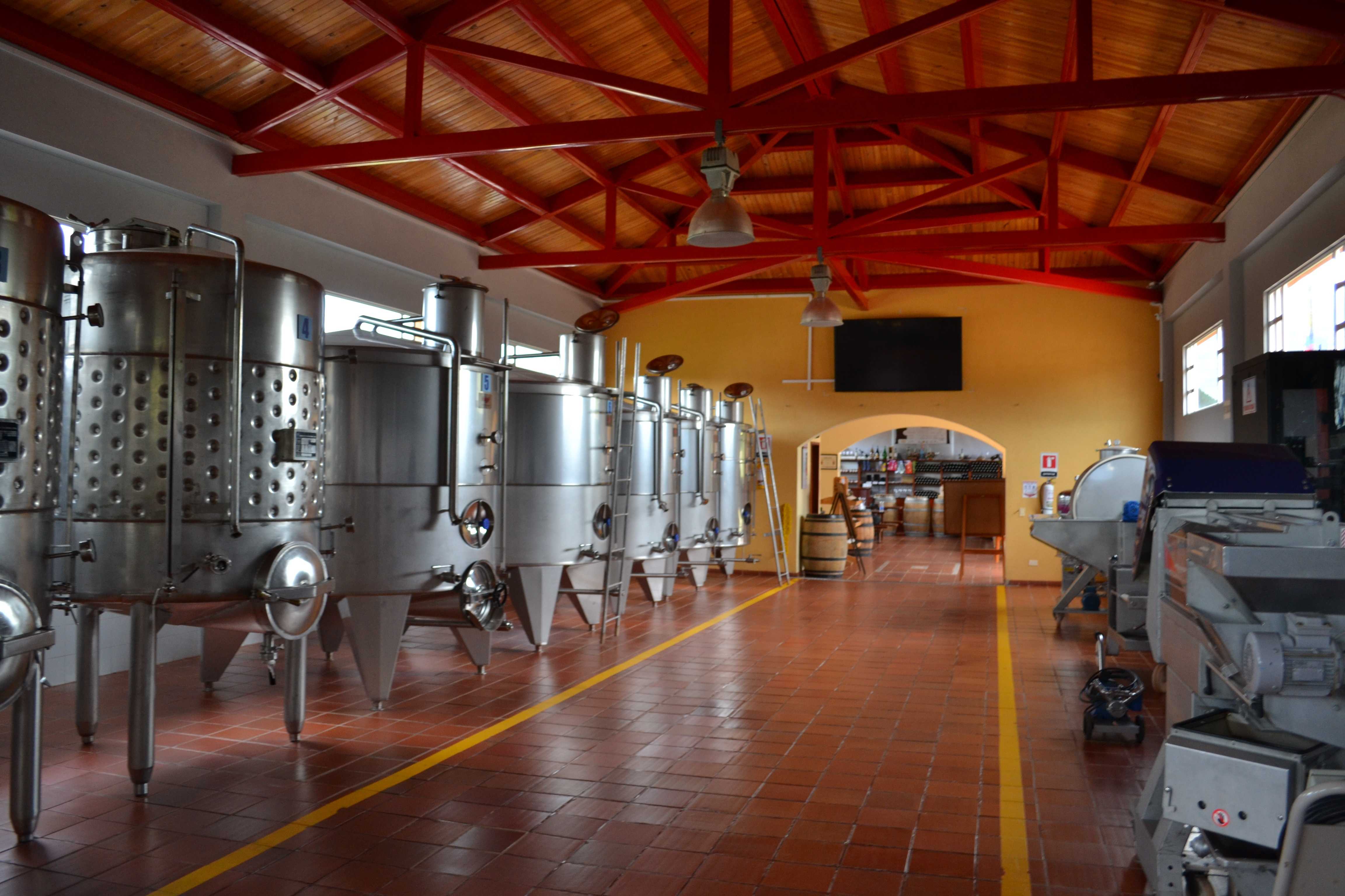 Производство вина: технология, схема и этапы изготовления в домашних условиях, процесс заводского виноделия