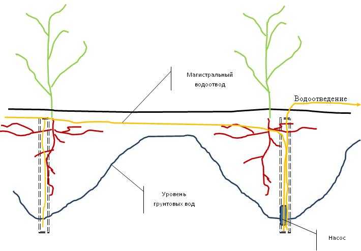 Происхождение подземных вод: как образуются, условия для появления и распространения