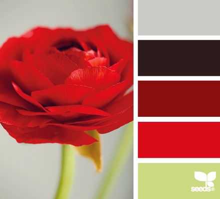 Красный цвет в интерьере (90+ фото) | особенности сочетания красного цвета с другими цветами в дизайне-интерьера