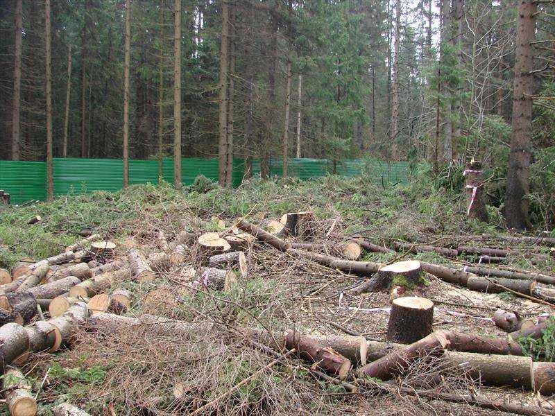Приказ федерального агентства лесного хозяйства от 10 июня 2011 г. № 223 “об утверждении правил использования лесов для строительства, реконструкции, эксплуатации линейных объектов”