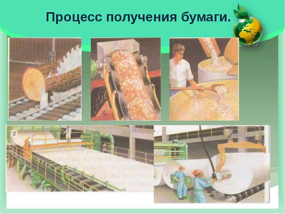 Технология производства сыра: этапы и процессы