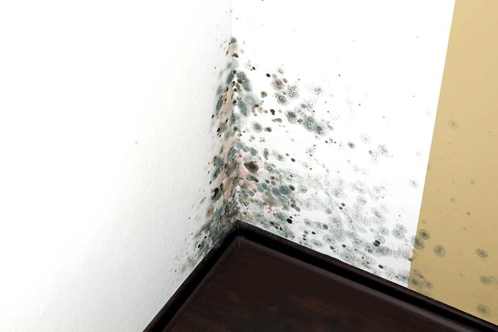Советы о том, как удалять сырость на стенах