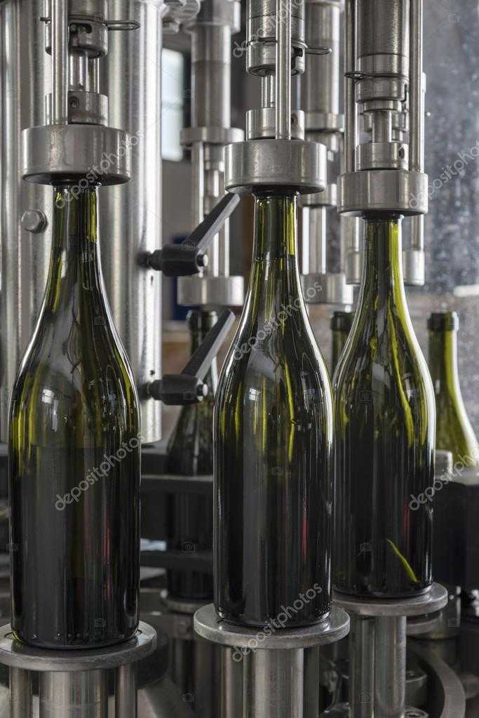 Открываем бизнес по производству вина