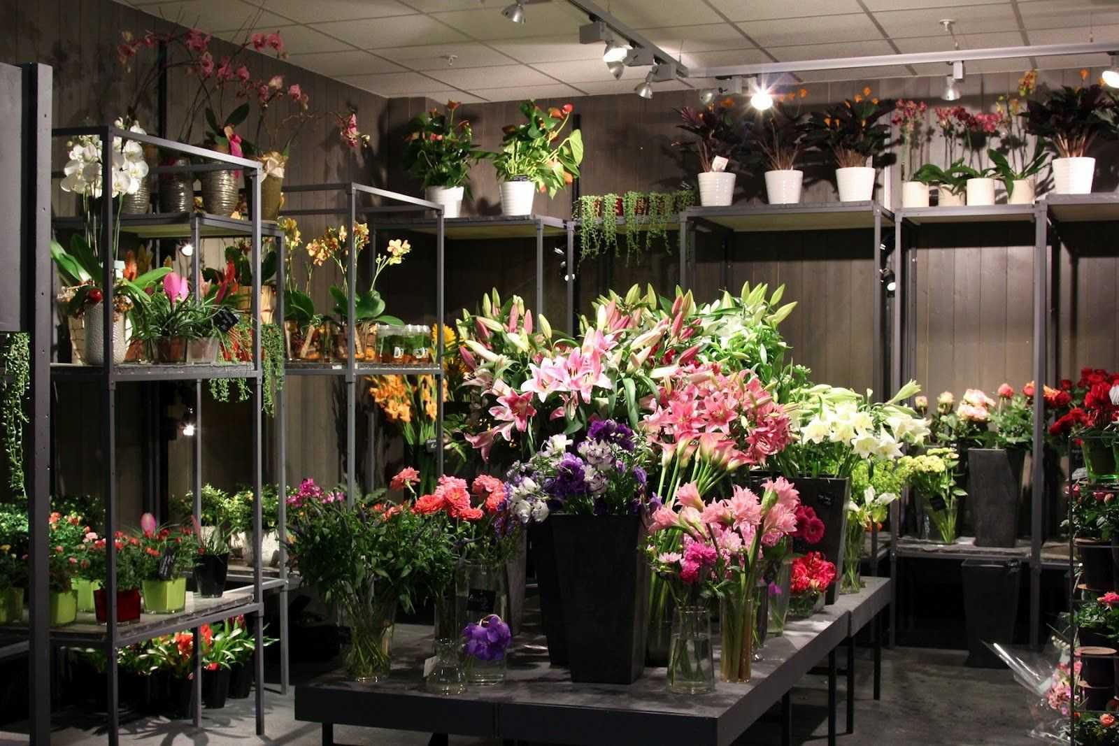 Как открыть цветочный магазин? выгодно ли открыть цветочный магазин и сколько стоит