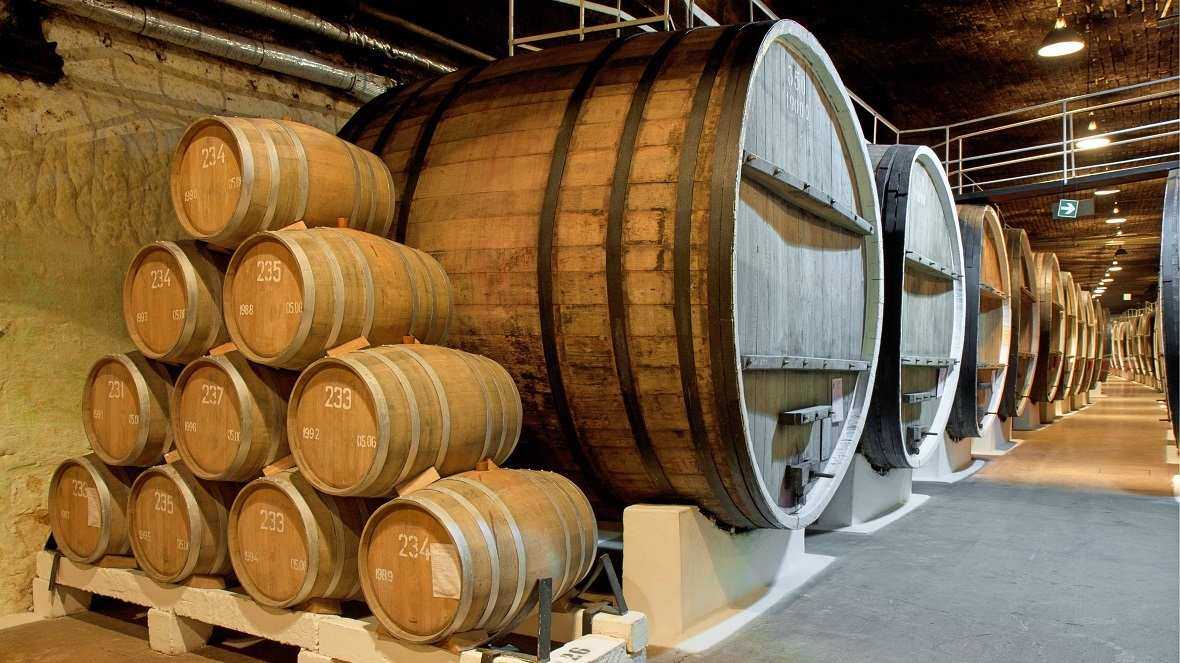 Приготовление и производство красного вина: технология, этапы, схема