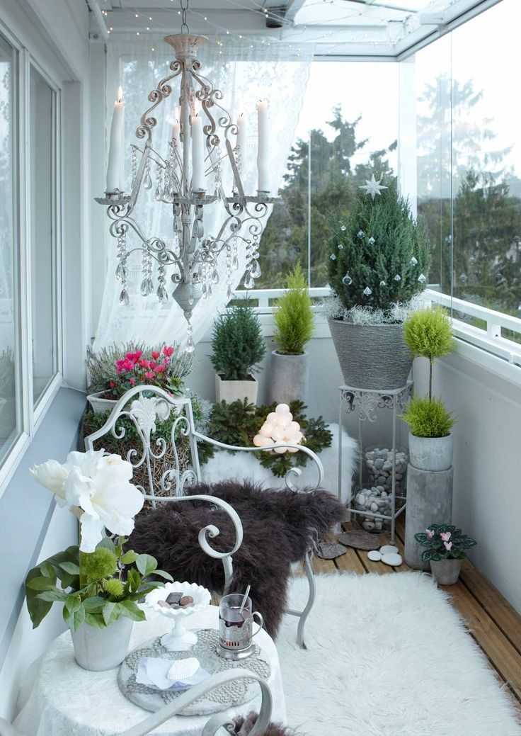 Как устроить зимний сад на участке и на балконе дома
