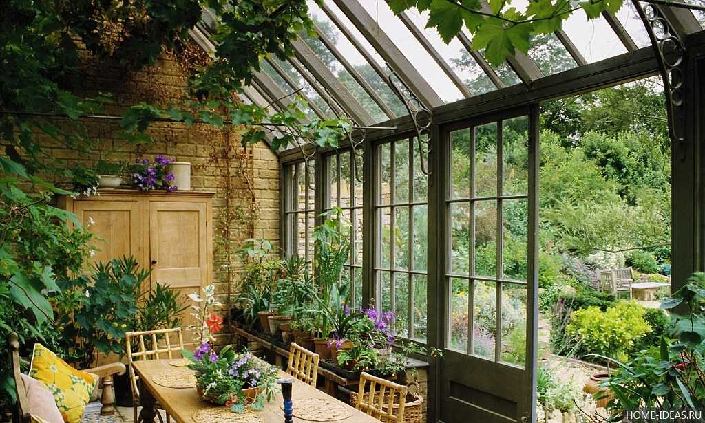 Оформление зимнего сада в доме: правила обустройства красивых и оригинальных зимних садов (100 фото)