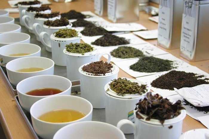 Чем качественный чай отличается от обычного | brodude.ru