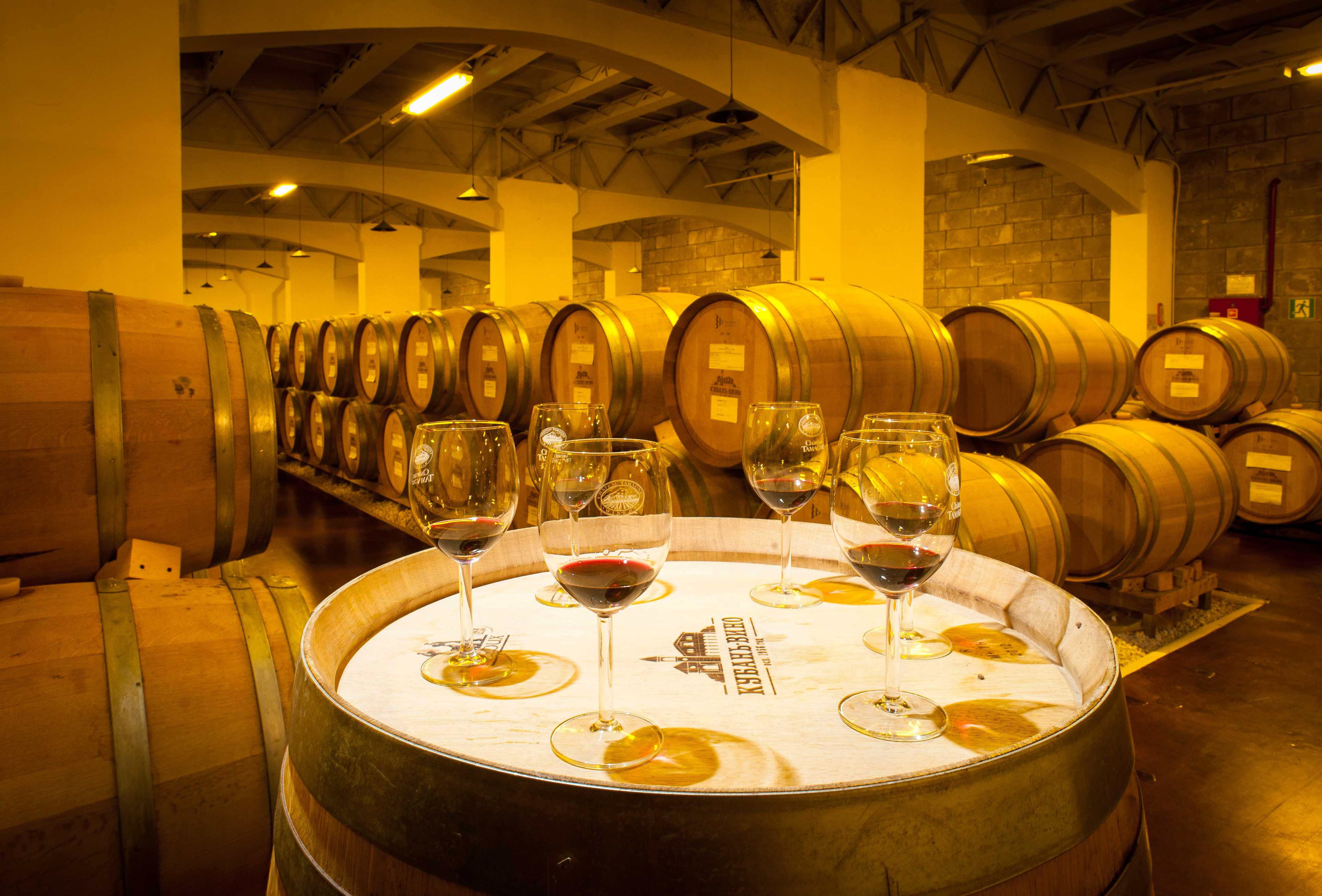 Организуем собственный винзавод: виноделия в промышленных масштабах