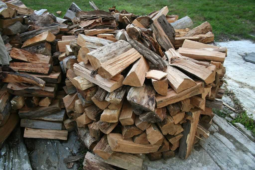 Какие дрова лучше для топки печи, советы по выбору породы дерева