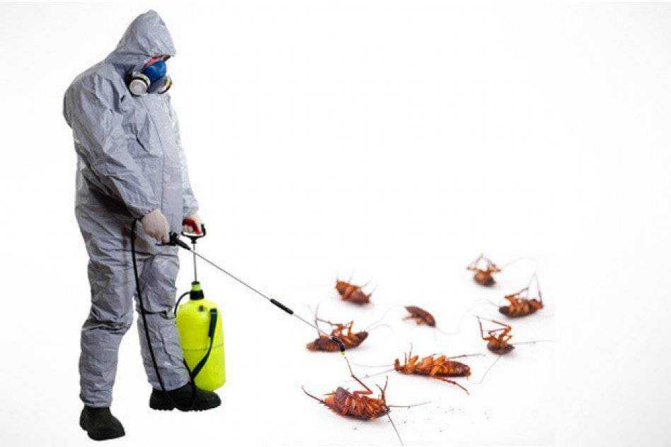 Уничтожение тараканов в квартире в москве, уничтожить тараканов с гарантией по низкой цене
