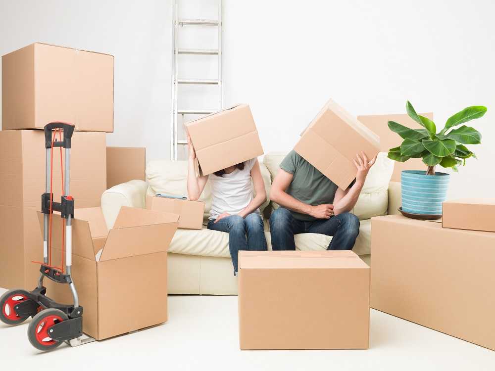 Как организовать переезд в новую квартиру без хаоса и лишних нервов - лайфхакер