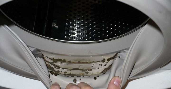 Почему после стирки в стиральной машине белье неприятно пахнет затхлым, что делать