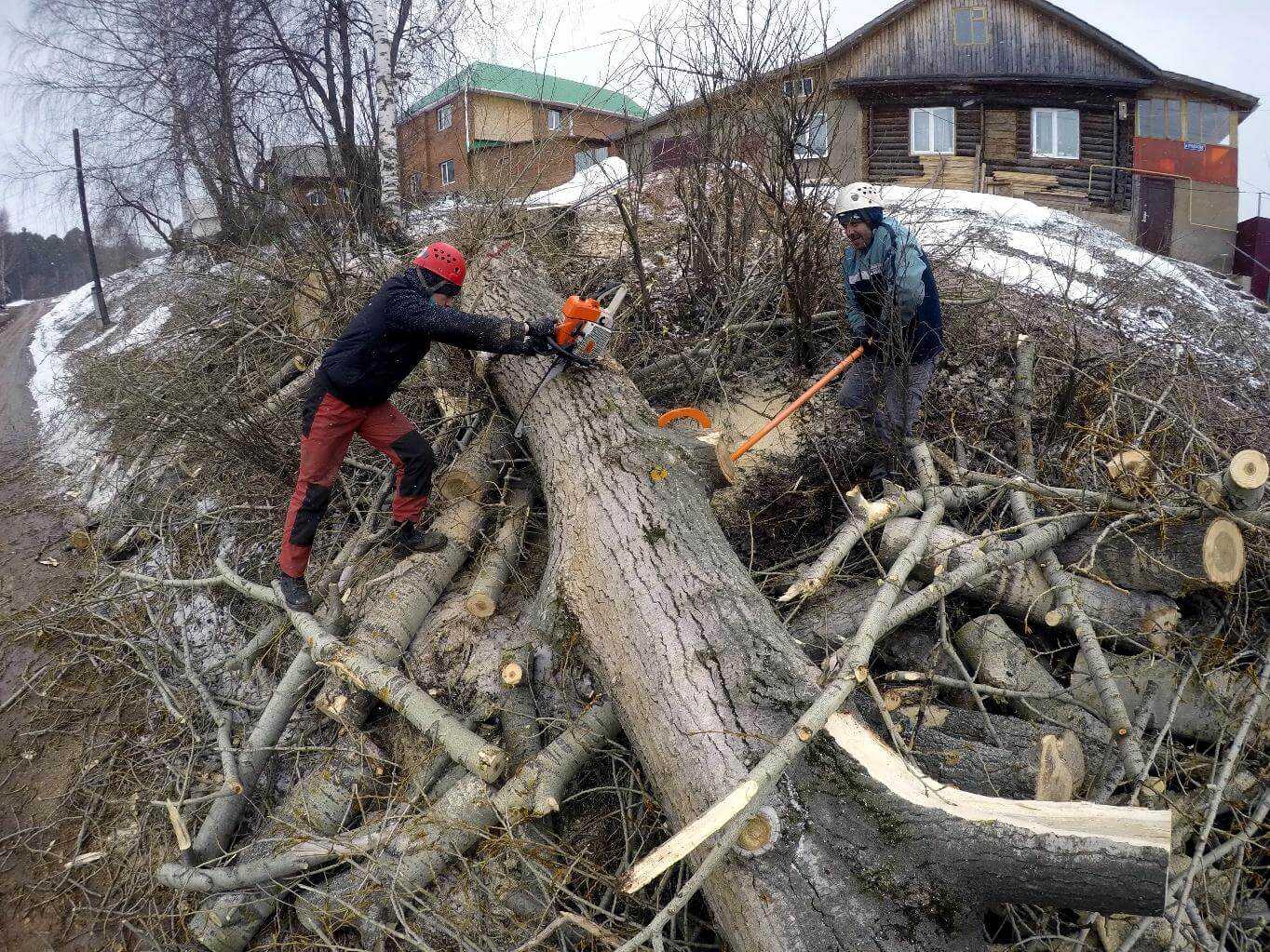 Санитарная вырубка деревьев — неотъемлемая и необходимая процедура, которая проводится в лесополосах, парковых зонах и на придомовой территории.