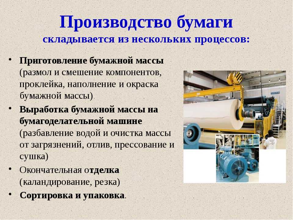 Производство бумаги - технология из древесины, оборудование, предприятия в россии