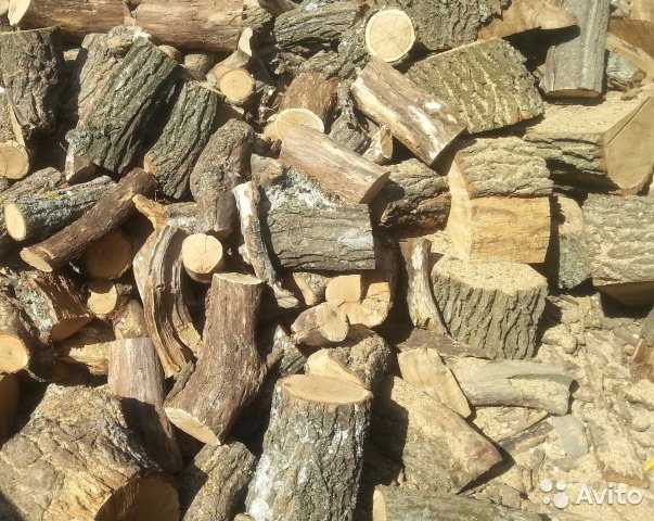 Как выбрать самые лучшие дрова для бани, печи и камина