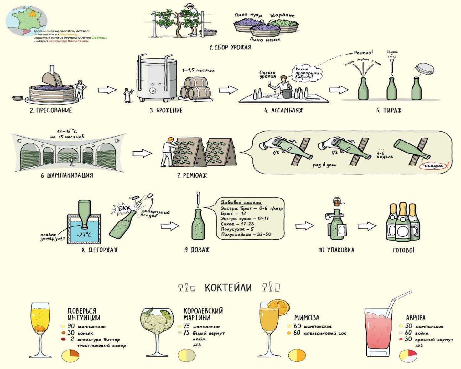 Технология производства вина: этапы и условия