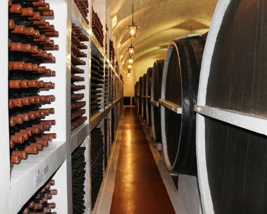 Винодельческая промышленность