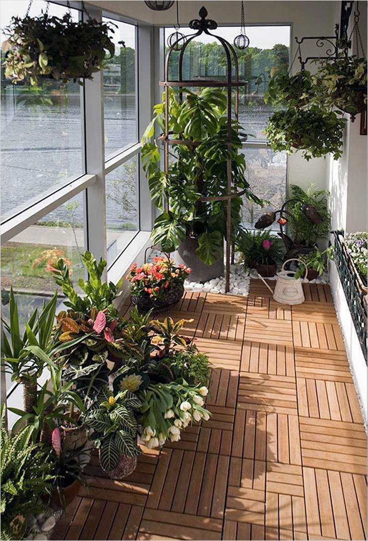 Зимний сад в квартире (46 фото): как сделать зимний сад на балконе, особенности обустройства домашней оранжереи своими руками на лоджии