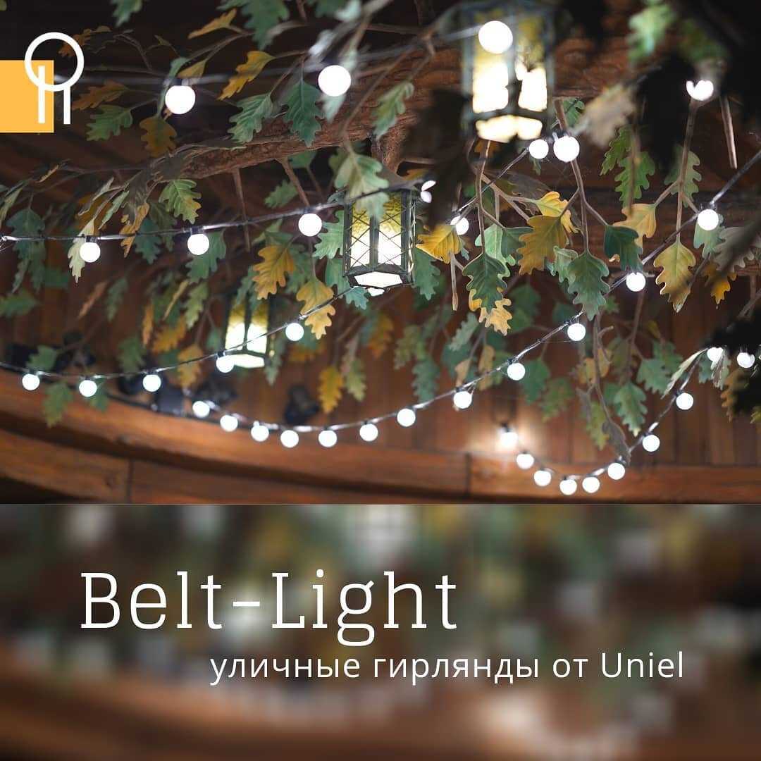 Гирлянда belt light (18 фото): выбор светодиодных украшений для уличного освещения